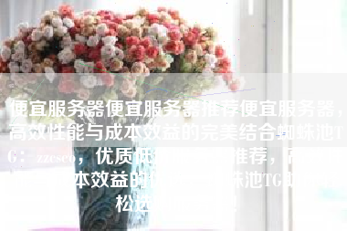 便宜服务器便宜服务器推荐便宜服务器，高效性能与成本效益的完美结合蜘蛛池TG：zzcseo，优质低价服务器推荐，高效性能与成本效益的优选，蜘蛛池TG助你轻松选购服务器！