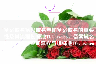 备案域名备案域名查询备案域名的重要性及其流程蜘蛛池TG：zzcseo，备案域名的重要性、查询流程与蜘蛛池TG，zzcseo