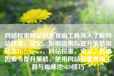 网站权重网站权重查询工具深入了解网站权重，定义、影响因素与提升策略蜘蛛池TG：zzcseo，网站权重，定义、影响因素与提升策略，使用网站权重查询工具与蜘蛛池SEO技巧