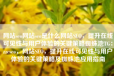 网站seo网站seo是什么网站SEO，提升在线可见性与用户体验的关键策略蜘蛛池TG：zzcseo，网站SEO，提升在线可见性与用户体验的关键策略及蜘蛛池应用指南