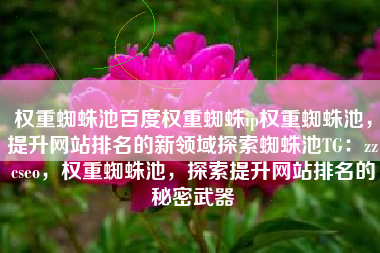 权重蜘蛛池百度权重蜘蛛ip权重蜘蛛池，提升网站排名的新领域探索蜘蛛池TG：zzcseo，权重蜘蛛池，探索提升网站排名的秘密武器