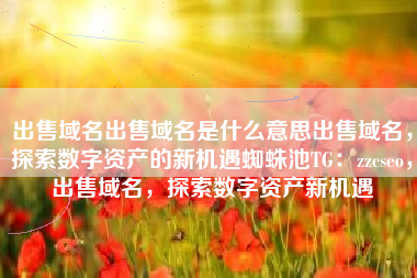 出售域名出售域名是什么意思出售域名，探索数字资产的新机遇蜘蛛池TG：zzcseo，出售域名，探索数字资产新机遇