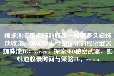 蜘蛛池收录蜘蛛池收录一般要多久蜘蛛池收录，探索搜索引擎优化的秘密武器蜘蛛池TG：zzcseo，探索SEO秘密武器，蜘蛛池收录时间与策略TG，zzcseo
