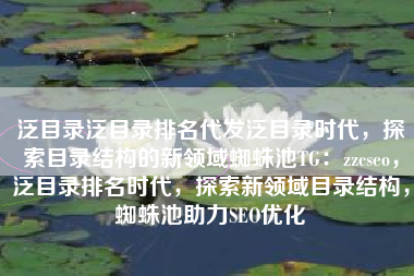 泛目录泛目录排名代发泛目录时代，探索目录结构的新领域蜘蛛池TG：zzcseo，泛目录排名时代，探索新领域目录结构，蜘蛛池助力SEO优化