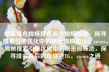 蜘蛛排名蜘蛛排名多少蜘蛛排名，探寻搜索引擎优化中的秘密蜘蛛池TG：zzcseo，揭秘搜索引擎优化中的秘密蜘蛛池，探寻排名背后的蜘蛛池TG，zzcseo之道