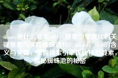 seoseo是什么意思SEO，搜索引擎优化的关键要素与实践蜘蛛池TG：zzcseo，SEO的含义与实践，掌握搜索引擎优化核心要素，揭秘蜘蛛池的秘密