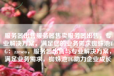 服务器出售服务器售卖服务器出售，专业解决方案，满足您的业务需求蜘蛛池TG：zzcseo，服务器出售与专业解决方案，满足业务需求，蜘蛛池TG助力企业成长