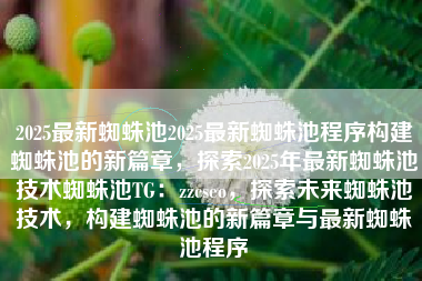 2025最新蜘蛛池2025最新蜘蛛池程序构建蜘蛛池的新篇章，探索2025年最新蜘蛛池技术蜘蛛池TG：zzcseo，探索未来蜘蛛池技术，构建蜘蛛池的新篇章与最新蜘蛛池程序
