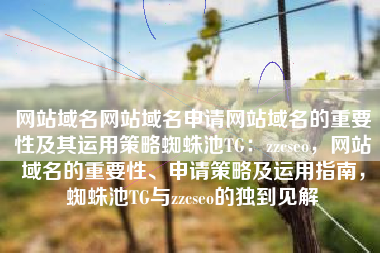 网站域名网站域名申请网站域名的重要性及其运用策略蜘蛛池TG：zzcseo，网站域名的重要性、申请策略及运用指南，蜘蛛池TG与zzcseo的独到见解
