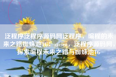 泛程序泛程序源码网泛程序，编程的未来之路蜘蛛池TG：zzcseo，泛程序源码网，探索编程未来之路与蜘蛛池TG