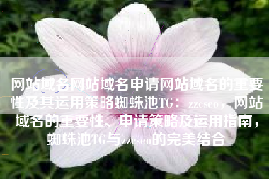 网站域名网站域名申请网站域名的重要性及其运用策略蜘蛛池TG：zzcseo，网站域名的重要性、申请策略及运用指南，蜘蛛池TG与zzcseo的完美结合