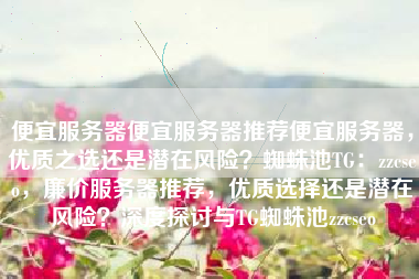 便宜服务器便宜服务器推荐便宜服务器，优质之选还是潜在风险？蜘蛛池TG：zzcseo，廉价服务器推荐，优质选择还是潜在风险？深度探讨与TG蜘蛛池zzcseo