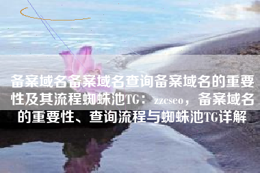 备案域名备案域名查询备案域名的重要性及其流程蜘蛛池TG：zzcseo，备案域名的重要性、查询流程与蜘蛛池TG详解