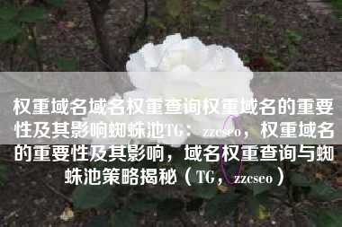 权重域名域名权重查询权重域名的重要性及其影响蜘蛛池TG：zzcseo，权重域名的重要性及其影响，域名权重查询与蜘蛛池策略揭秘（TG，zzcseo）
