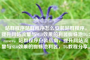 站群程序站群程序怎么安装站群程序，提升网站流量与SEO效果的利器蜘蛛池TG：zzcseo，站群程序安装指南，提升网站流量与SEO效果的蜘蛛池利器，TG教程分享。