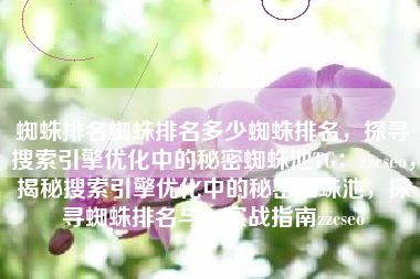 蜘蛛排名蜘蛛排名多少蜘蛛排名，探寻搜索引擎优化中的秘密蜘蛛池TG：zzcseo，揭秘搜索引擎优化中的秘密蜘蛛池，探寻蜘蛛排名与TG实战指南zzcseo