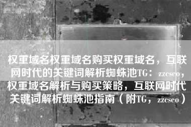 权重域名权重域名购买权重域名，互联网时代的关键词解析蜘蛛池TG：zzcseo，权重域名解析与购买策略，互联网时代关键词解析蜘蛛池指南（附TG，zzcseo）