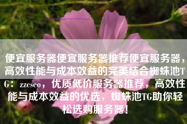便宜服务器便宜服务器推荐便宜服务器，高效性能与成本效益的完美结合蜘蛛池TG：zzcseo，优质低价服务器推荐，高效性能与成本效益的优选，蜘蛛池TG助你轻松选购服务器！