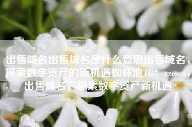 出售域名出售域名是什么意思出售域名，探索数字资产的新机遇蜘蛛池TG：zzcseo，出售域名，探索数字资产新机遇