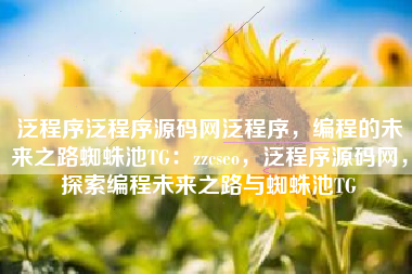 泛程序泛程序源码网泛程序，编程的未来之路蜘蛛池TG：zzcseo，泛程序源码网，探索编程未来之路与蜘蛛池TG