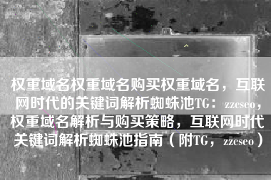 权重域名权重域名购买权重域名，互联网时代的关键词解析蜘蛛池TG：zzcseo，权重域名解析与购买策略，互联网时代关键词解析蜘蛛池指南（附TG，zzcseo）