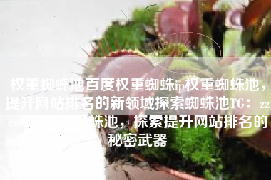 权重蜘蛛池百度权重蜘蛛ip权重蜘蛛池，提升网站排名的新领域探索蜘蛛池TG：zzcseo，权重蜘蛛池，探索提升网站排名的秘密武器