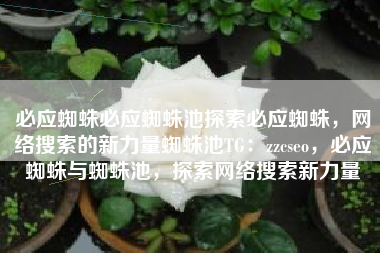 必应蜘蛛必应蜘蛛池探索必应蜘蛛，网络搜索的新力量蜘蛛池TG：zzcseo，必应蜘蛛与蜘蛛池，探索网络搜索新力量