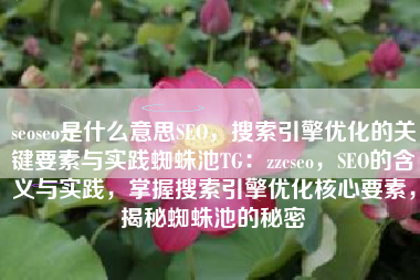 seoseo是什么意思SEO，搜索引擎优化的关键要素与实践蜘蛛池TG：zzcseo，SEO的含义与实践，掌握搜索引擎优化核心要素，揭秘蜘蛛池的秘密