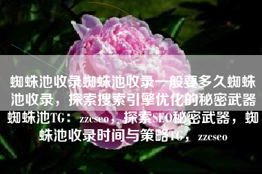蜘蛛池收录蜘蛛池收录一般要多久蜘蛛池收录，探索搜索引擎优化的秘密武器蜘蛛池TG：zzcseo，探索SEO秘密武器，蜘蛛池收录时间与策略TG，zzcseo