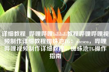 详细教程_哔哩哔哩bilibili教程哔哩哔哩视频制作详细教程蜘蛛池TG：zzcseo，哔哩哔哩视频制作详细教程，蜘蛛池TG操作指南