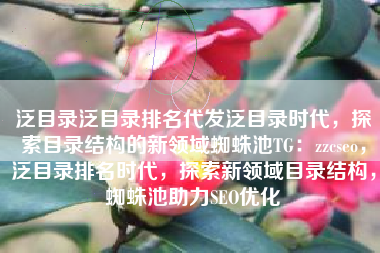 泛目录泛目录排名代发泛目录时代，探索目录结构的新领域蜘蛛池TG：zzcseo，泛目录排名时代，探索新领域目录结构，蜘蛛池助力SEO优化
