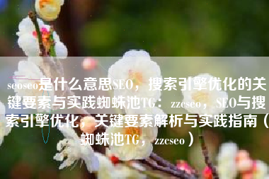 seoseo是什么意思SEO，搜索引擎优化的关键要素与实践蜘蛛池TG：zzcseo，SEO与搜索引擎优化，关键要素解析与实践指南（蜘蛛池TG，zzcseo）