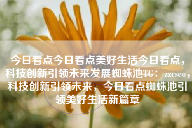 今日看点今日看点美好生活今日看点，科技创新引领未来发展蜘蛛池TG：zzcseo，科技创新引领未来，今日看点蜘蛛池引领美好生活新篇章