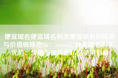 便宜域名便宜域名购买便宜域名的优势与价值蜘蛛池TG：zzcseo，便宜域名购买，优势、价值与蜘蛛池TG的使用指南