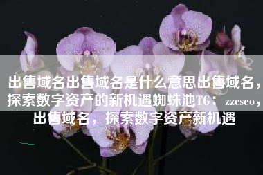 出售域名出售域名是什么意思出售域名，探索数字资产的新机遇蜘蛛池TG：zzcseo，出售域名，探索数字资产新机遇