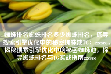 蜘蛛排名蜘蛛排名多少蜘蛛排名，探寻搜索引擎优化中的秘密蜘蛛池TG：zzcseo，揭秘搜索引擎优化中的秘密蜘蛛池，探寻蜘蛛排名与TG实战指南zzcseo