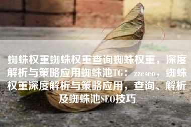 蜘蛛权重蜘蛛权重查询蜘蛛权重，深度解析与策略应用蜘蛛池TG：zzcseo，蜘蛛权重深度解析与策略应用，查询、解析及蜘蛛池SEO技巧
