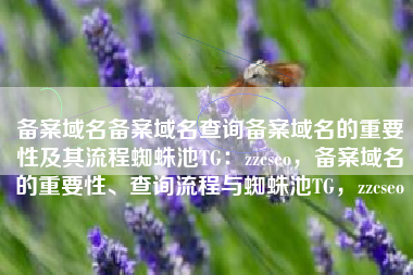 备案域名备案域名查询备案域名的重要性及其流程蜘蛛池TG：zzcseo，备案域名的重要性、查询流程与蜘蛛池TG，zzcseo
