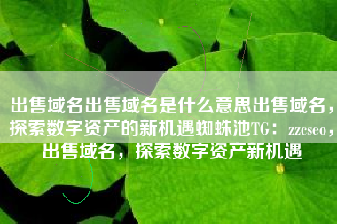 出售域名出售域名是什么意思出售域名，探索数字资产的新机遇蜘蛛池TG：zzcseo，出售域名，探索数字资产新机遇