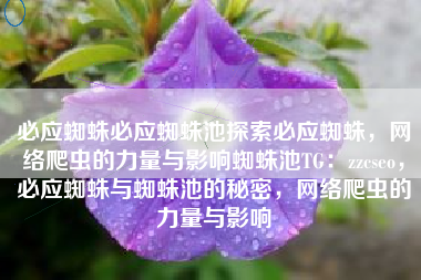 必应蜘蛛必应蜘蛛池探索必应蜘蛛，网络爬虫的力量与影响蜘蛛池TG：zzcseo，必应蜘蛛与蜘蛛池的秘密，网络爬虫的力量与影响