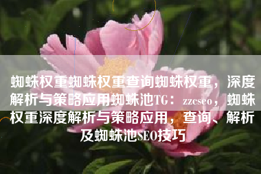 蜘蛛权重蜘蛛权重查询蜘蛛权重，深度解析与策略应用蜘蛛池TG：zzcseo，蜘蛛权重深度解析与策略应用，查询、解析及蜘蛛池SEO技巧