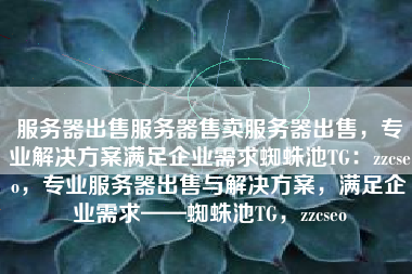 服务器出售服务器售卖服务器出售，专业解决方案满足企业需求蜘蛛池TG：zzcseo，专业服务器出售与解决方案，满足企业需求——蜘蛛池TG，zzcseo