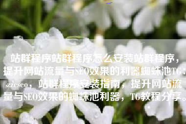 站群程序站群程序怎么安装站群程序，提升网站流量与SEO效果的利器蜘蛛池TG：zzcseo，站群程序安装指南，提升网站流量与SEO效果的蜘蛛池利器，TG教程分享。