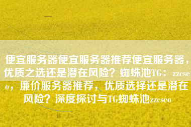 便宜服务器便宜服务器推荐便宜服务器，优质之选还是潜在风险？蜘蛛池TG：zzcseo，廉价服务器推荐，优质选择还是潜在风险？深度探讨与TG蜘蛛池zzcseo