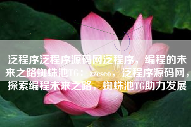 泛程序泛程序源码网泛程序，编程的未来之路蜘蛛池TG：zzcseo，泛程序源码网，探索编程未来之路，蜘蛛池TG助力发展