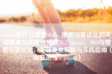 seoseo是什么意思SEO，搜索引擎优化的关键要素与实践蜘蛛池TG：zzcseo，SEO与搜索引擎优化，关键要素解析与实践指南（蜘蛛池TG，zzcseo）