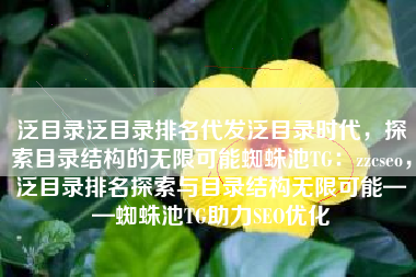 泛目录泛目录排名代发泛目录时代，探索目录结构的无限可能蜘蛛池TG：zzcseo，泛目录排名探索与目录结构无限可能——蜘蛛池TG助力SEO优化