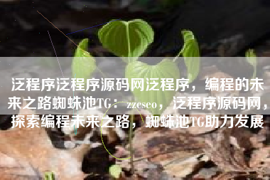 泛程序泛程序源码网泛程序，编程的未来之路蜘蛛池TG：zzcseo，泛程序源码网，探索编程未来之路，蜘蛛池TG助力发展