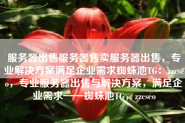 服务器出售服务器售卖服务器出售，专业解决方案满足企业需求蜘蛛池TG：zzcseo，专业服务器出售与解决方案，满足企业需求——蜘蛛池TG，zzcseo