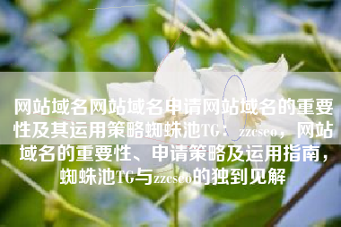 网站域名网站域名申请网站域名的重要性及其运用策略蜘蛛池TG：zzcseo，网站域名的重要性、申请策略及运用指南，蜘蛛池TG与zzcseo的独到见解